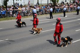 Fédération Nationale des Pompiers